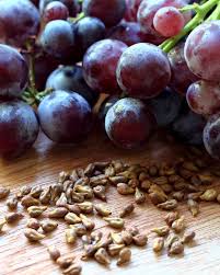 Grape seed extract, the proanthocyanidin source in EchoSoothe